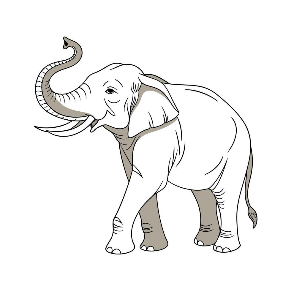 Asian Elephant on White Background vector