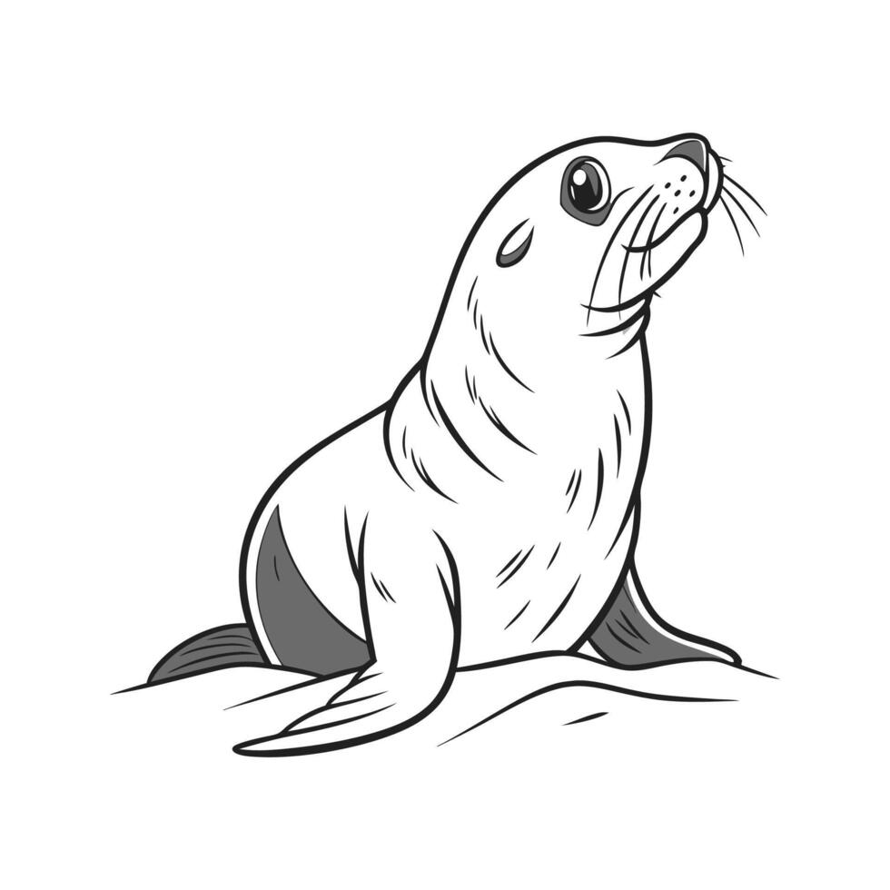 Charming Atlantic Grey Seal Design vector
