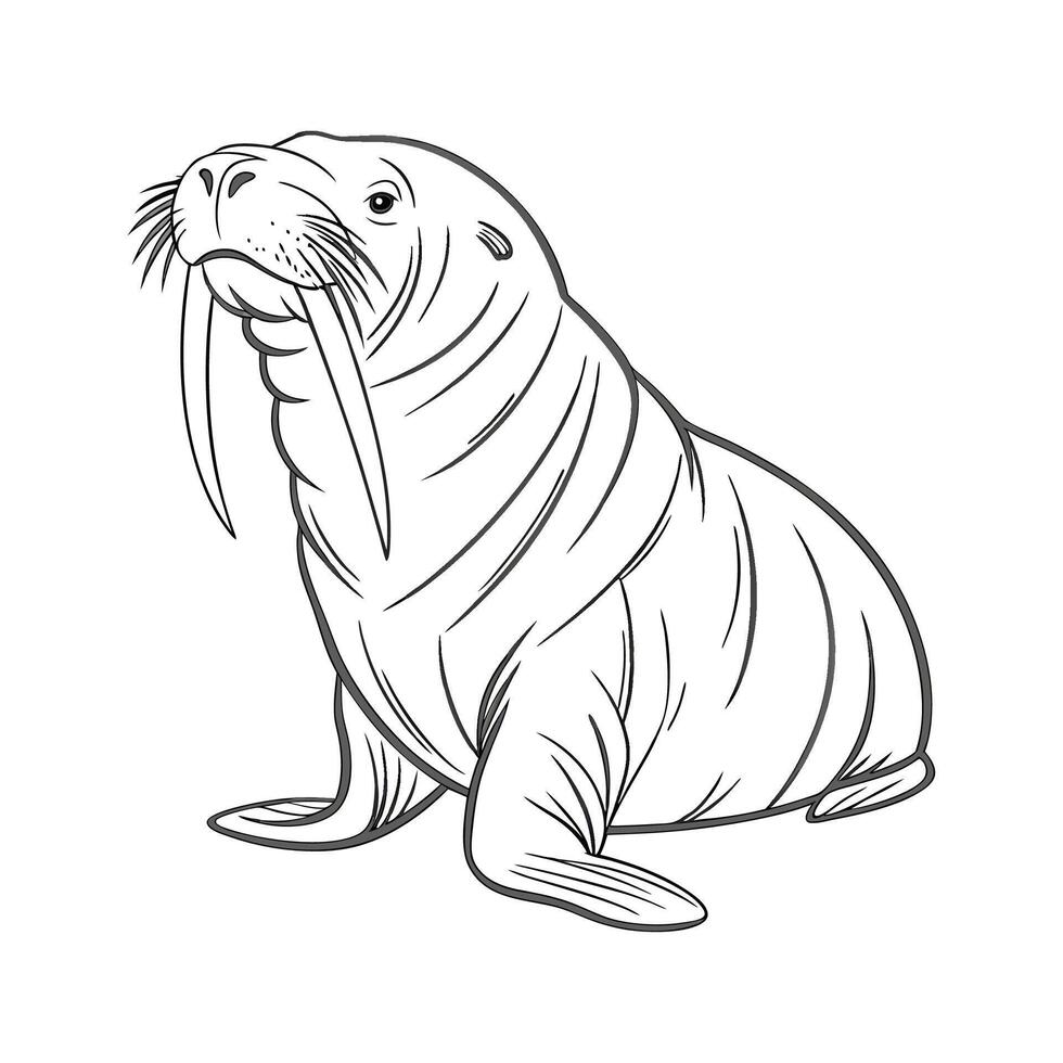 Stylish Atlantic Walrus Illustration vector