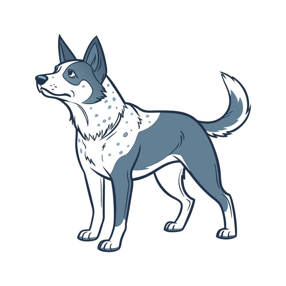 Adorable Australian Cattle Dog Graphic vector