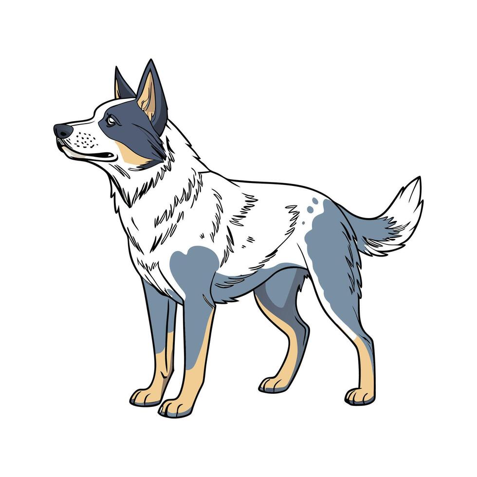 Stylish Australian Cattle Dog Illustration. vector