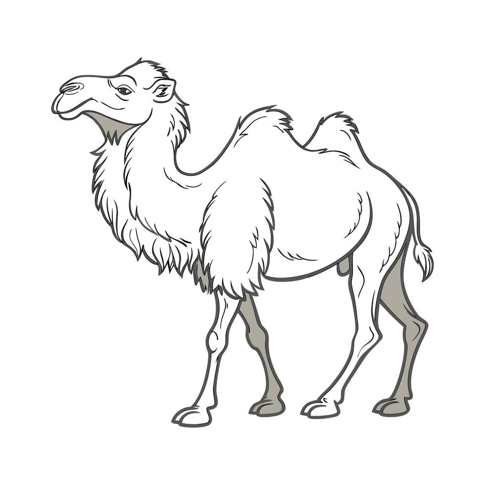 Charming Bactrian Camel Design vector