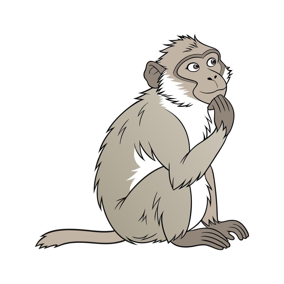 Adorable Barbary Macaque Graphic vector
