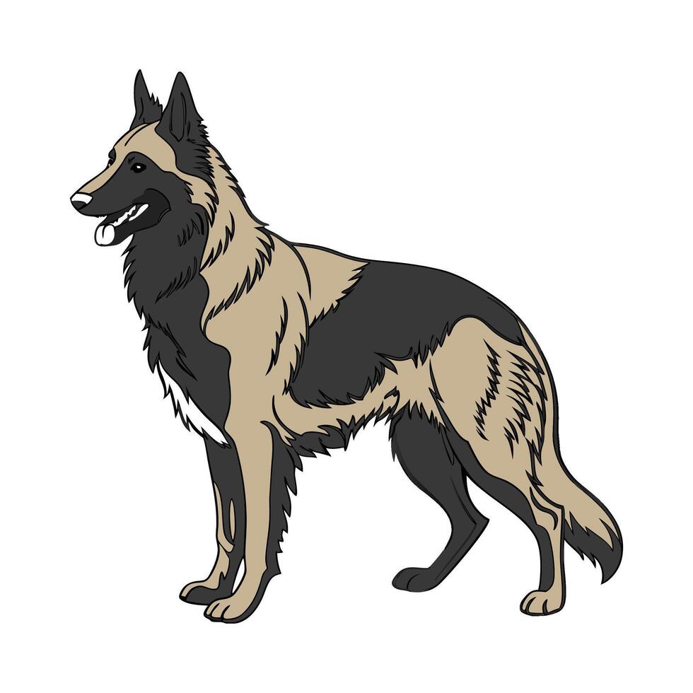 Charming Belgian Sheepdog Design vector