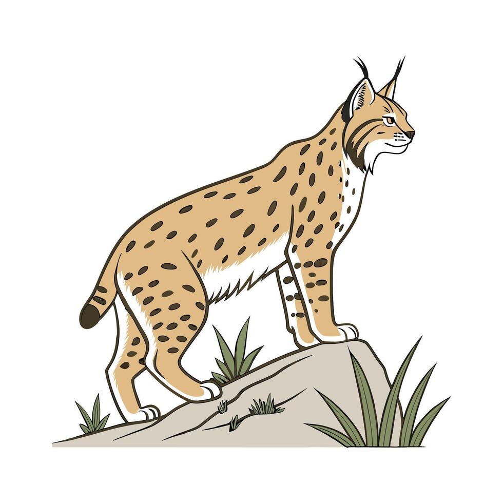 Charming Bobcat Design vector