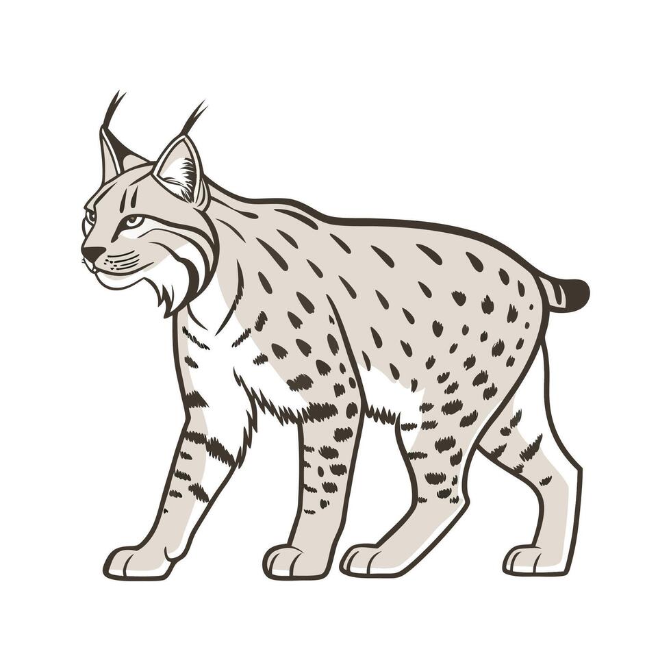 Adorable Bobcat Graphic vector