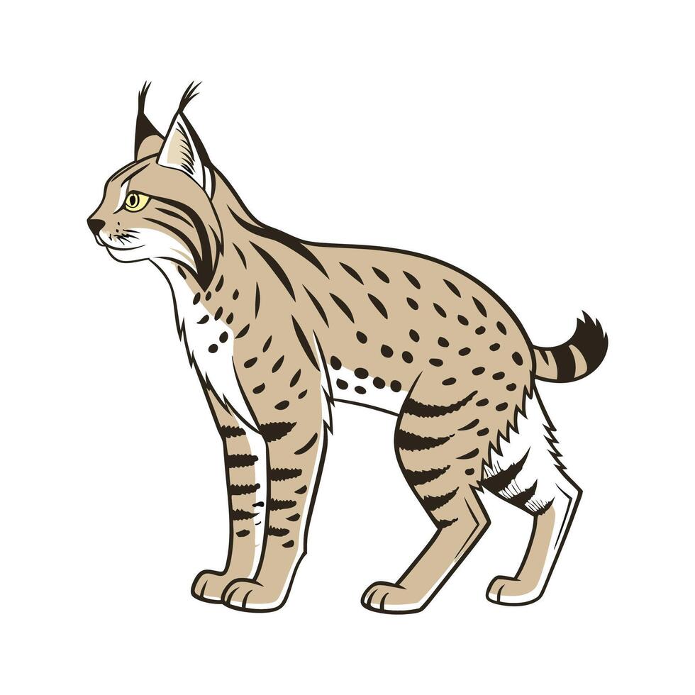 Stylish Bobcat Illustration vector