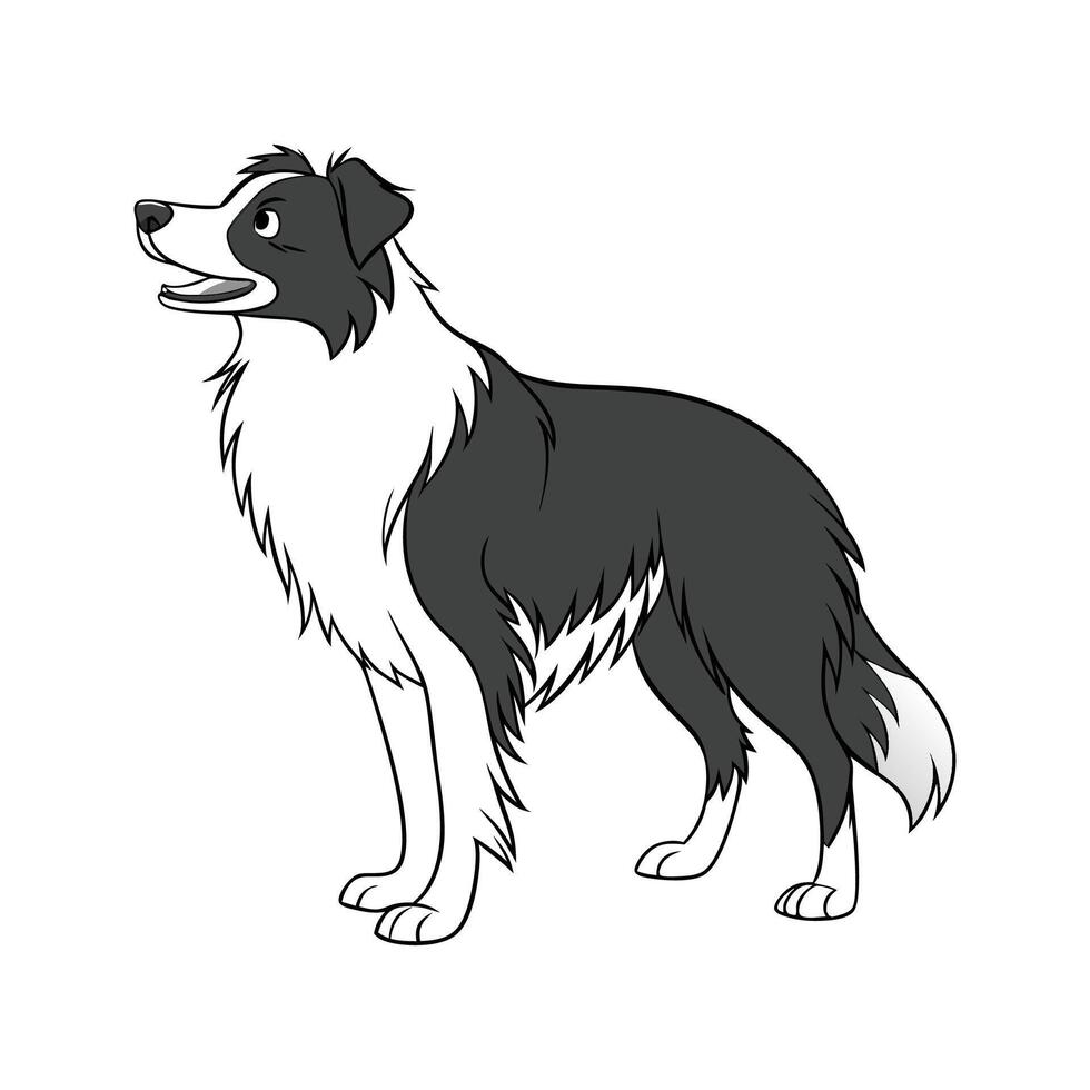 Charming Border Collie Design vector