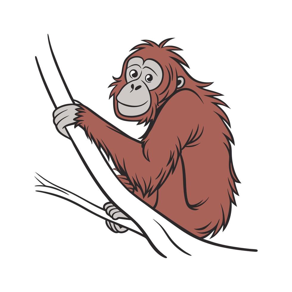 Bornean Orangutan on White Background vector