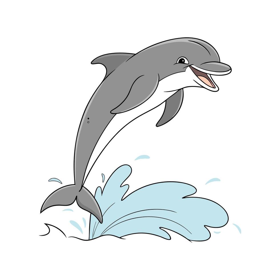 Bottlenose Dolphin on White Background vector