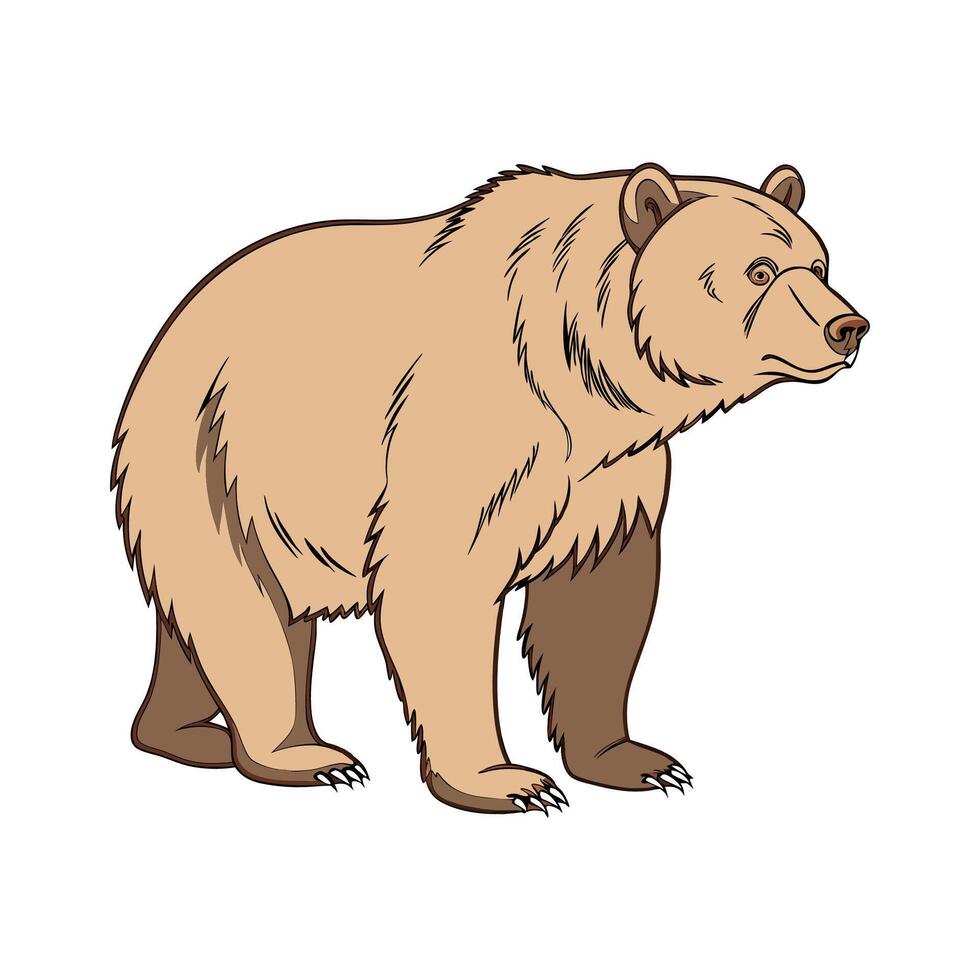 Charming Brown Bear Design vector