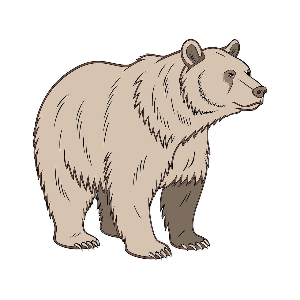 Stylish Brown Bear Illustration vector