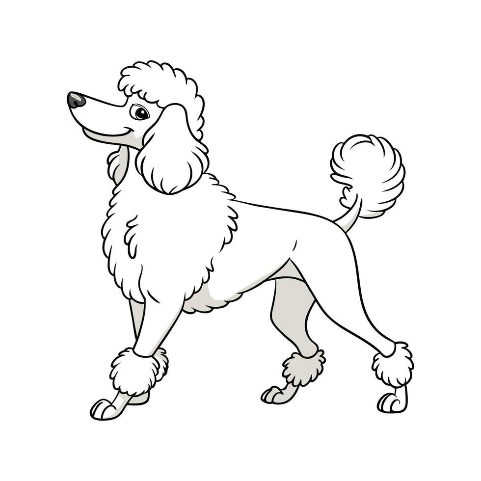 Charming Caniche Design vector