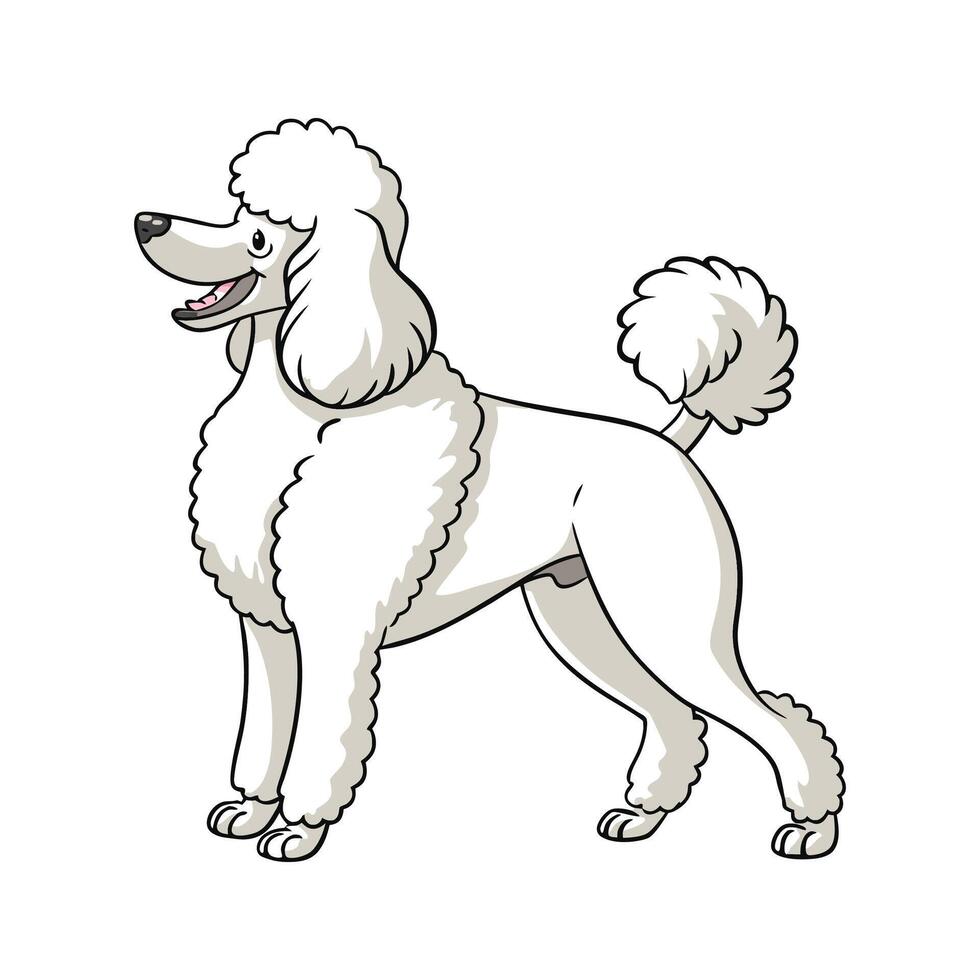 Adorable Caniche Graphic vector