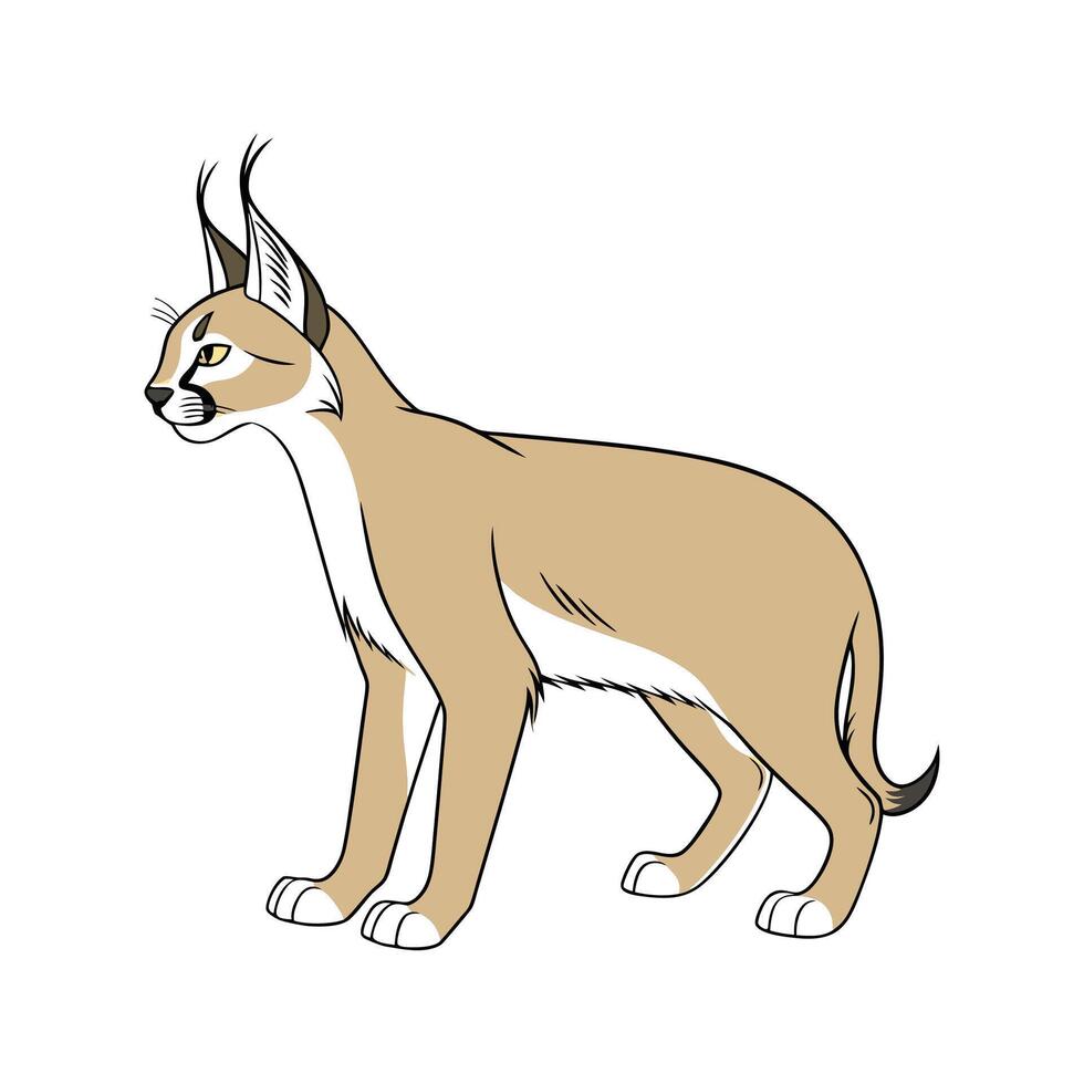 Adorable Caracal Graphic vector