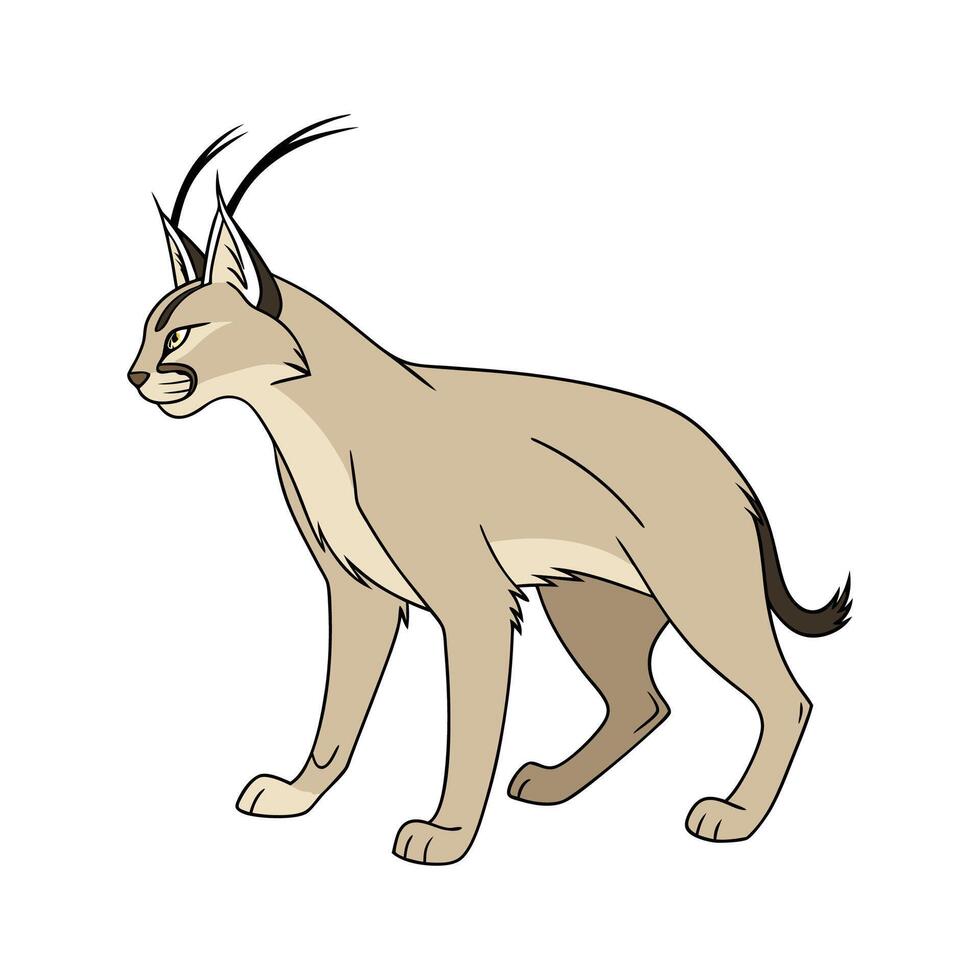 Stylish Caracal Illustration vector