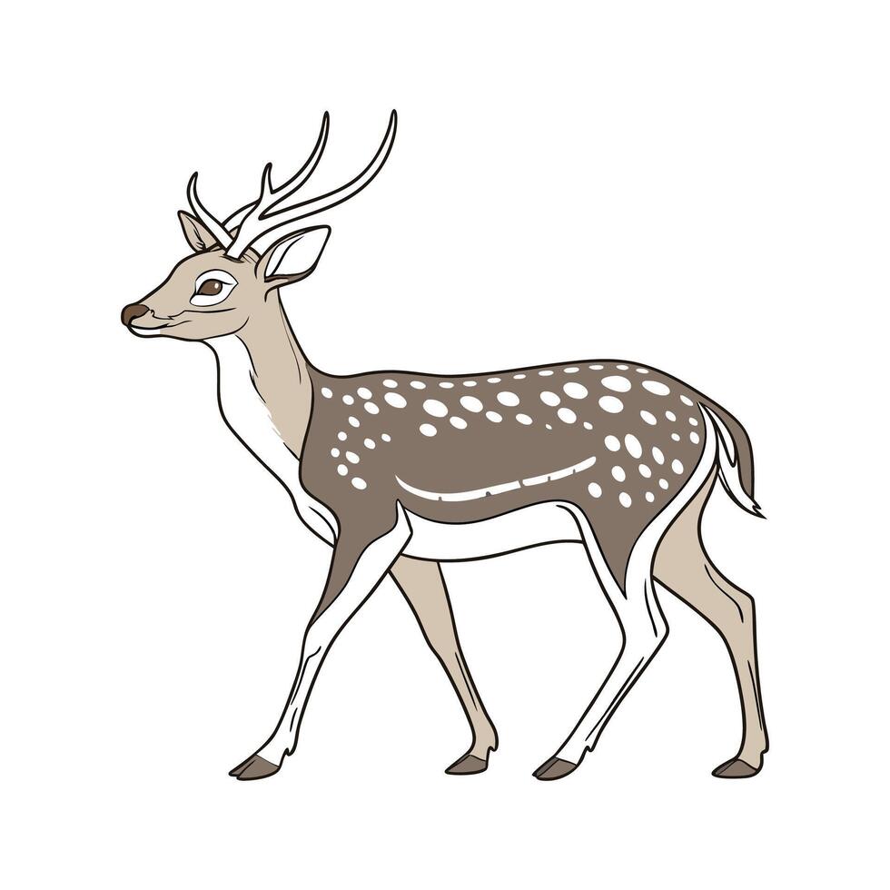 Chital on White Background vector