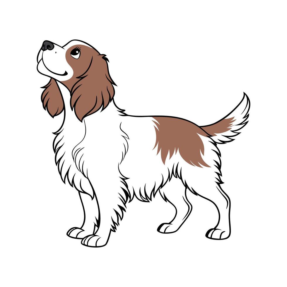 Adorable Cocker Spaniel Graphic vector