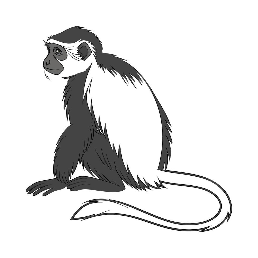 Charming Colobus Monkey Design vector