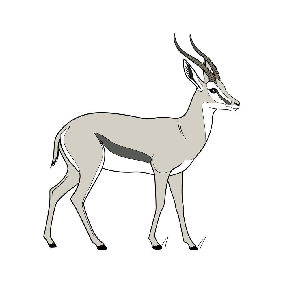 Common Antelope on White Background vector