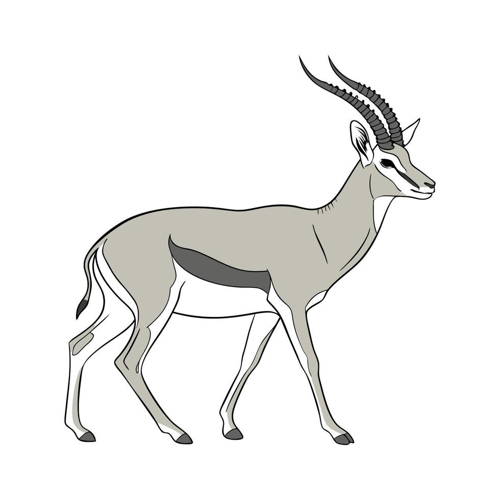 Charming Common Antelope Design vector
