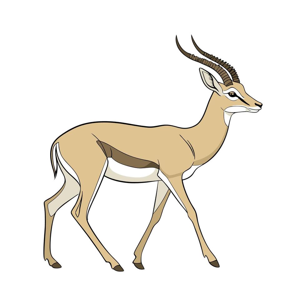Charming Common Impala Design vector