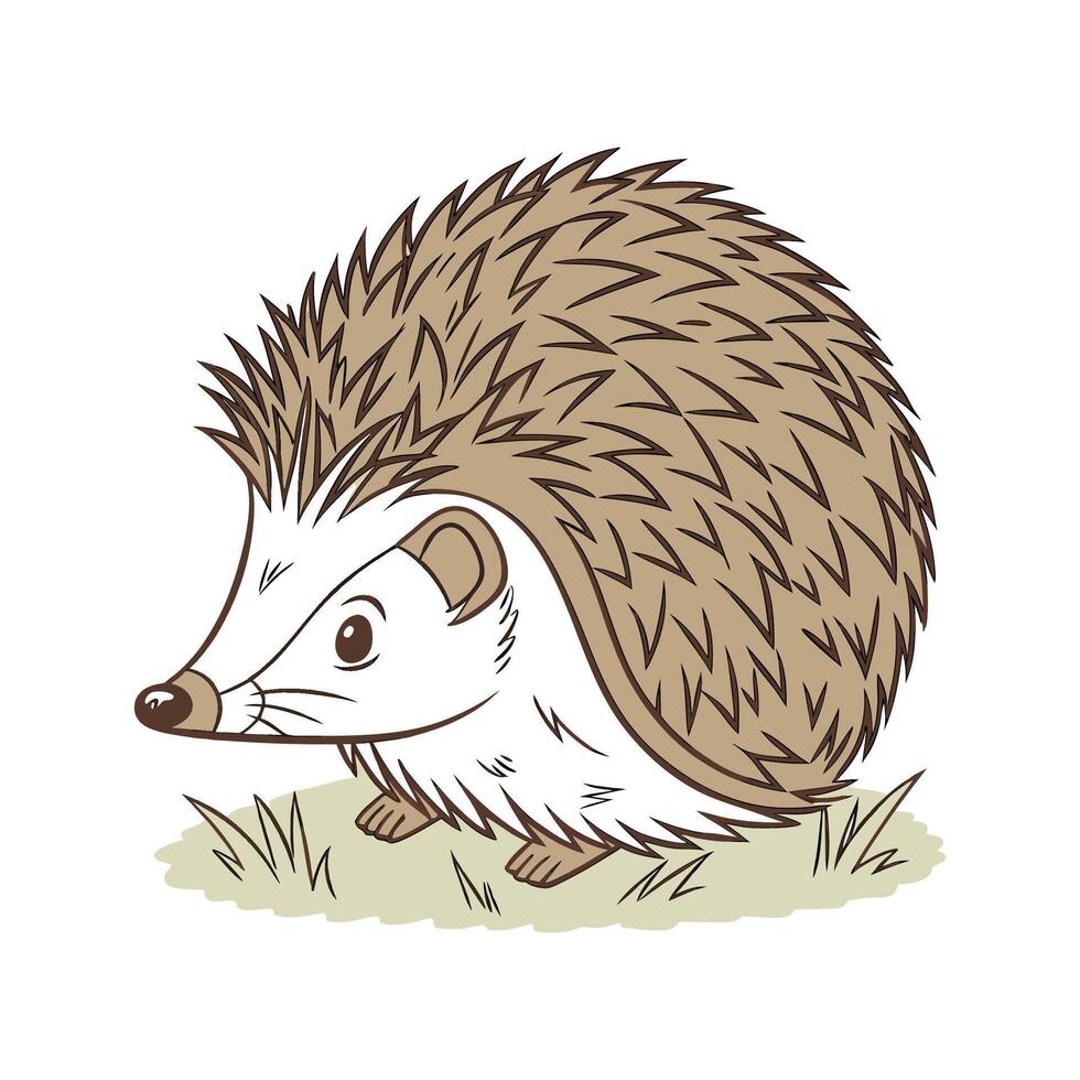 Stylish Common Hedgehog Illustration vector