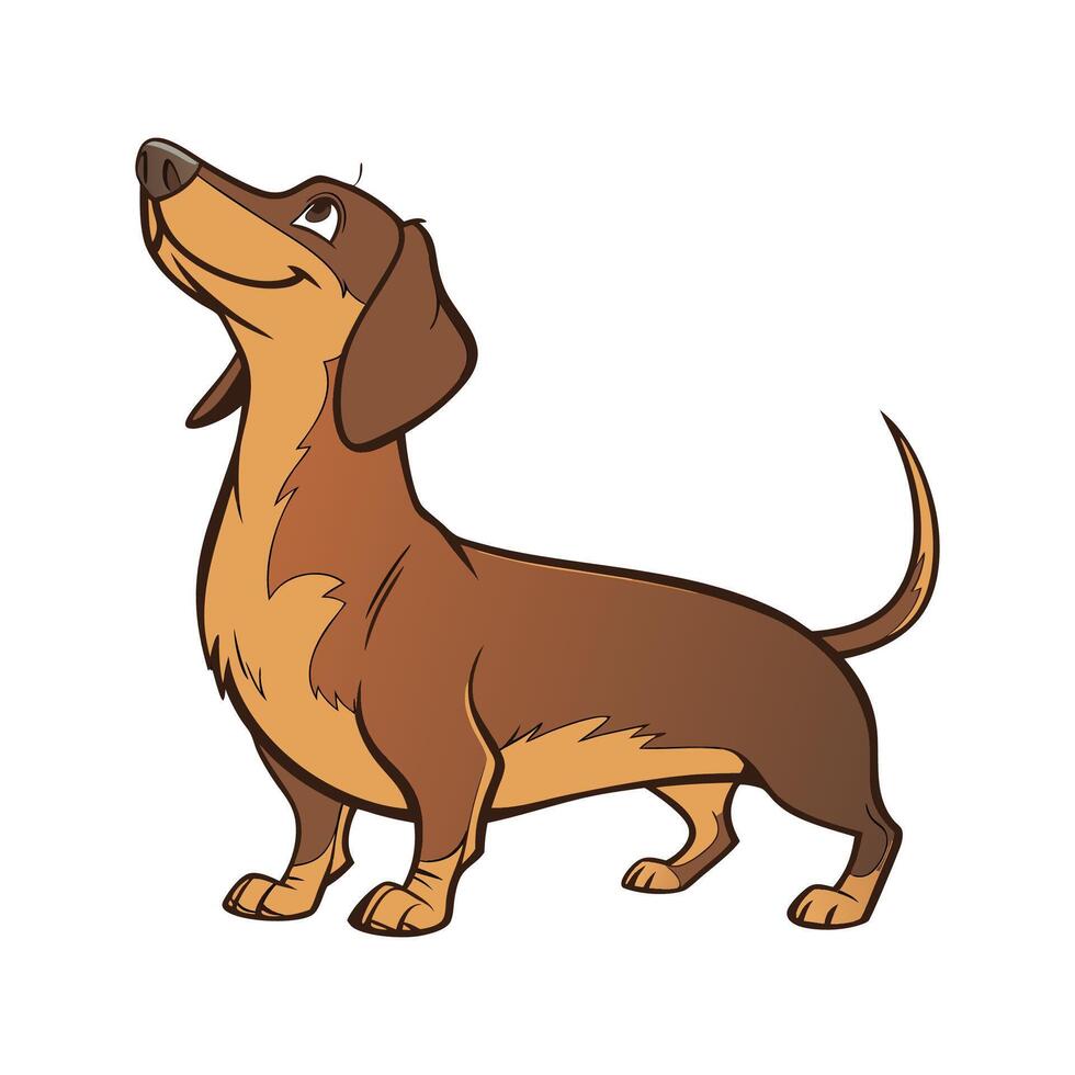 Charming Dachshund Design vector