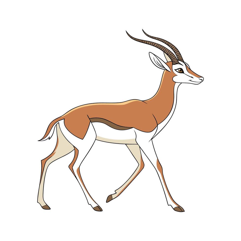 Dama Gazelle on White Background vector