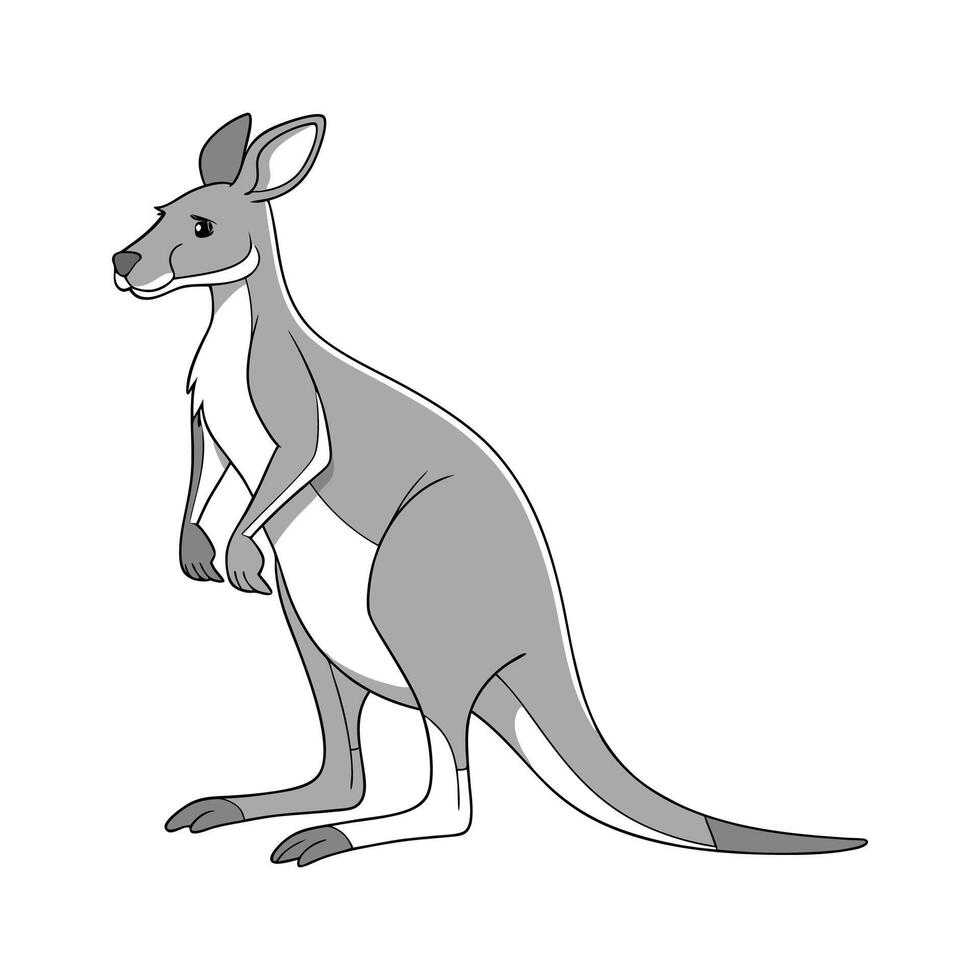 Dynamic Eastern Gray Kangaroo on White Background vector