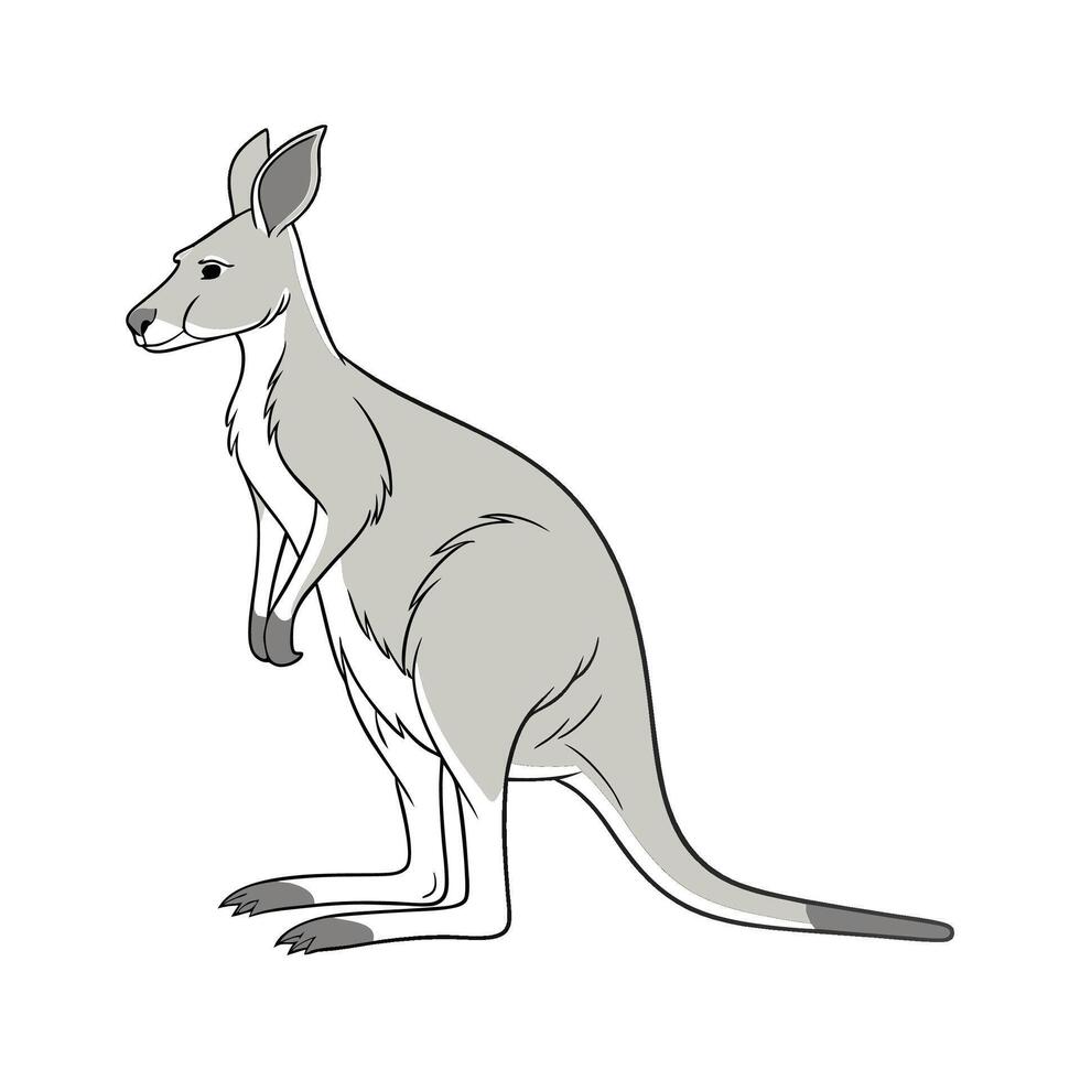 Agile Eastern Gray Kangaroo Posed on Clean Background vector