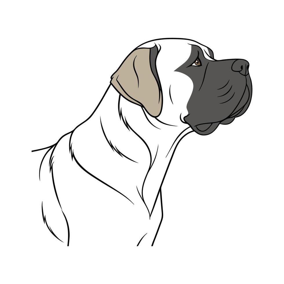 Powerful English Mastiff on Clean Background vector