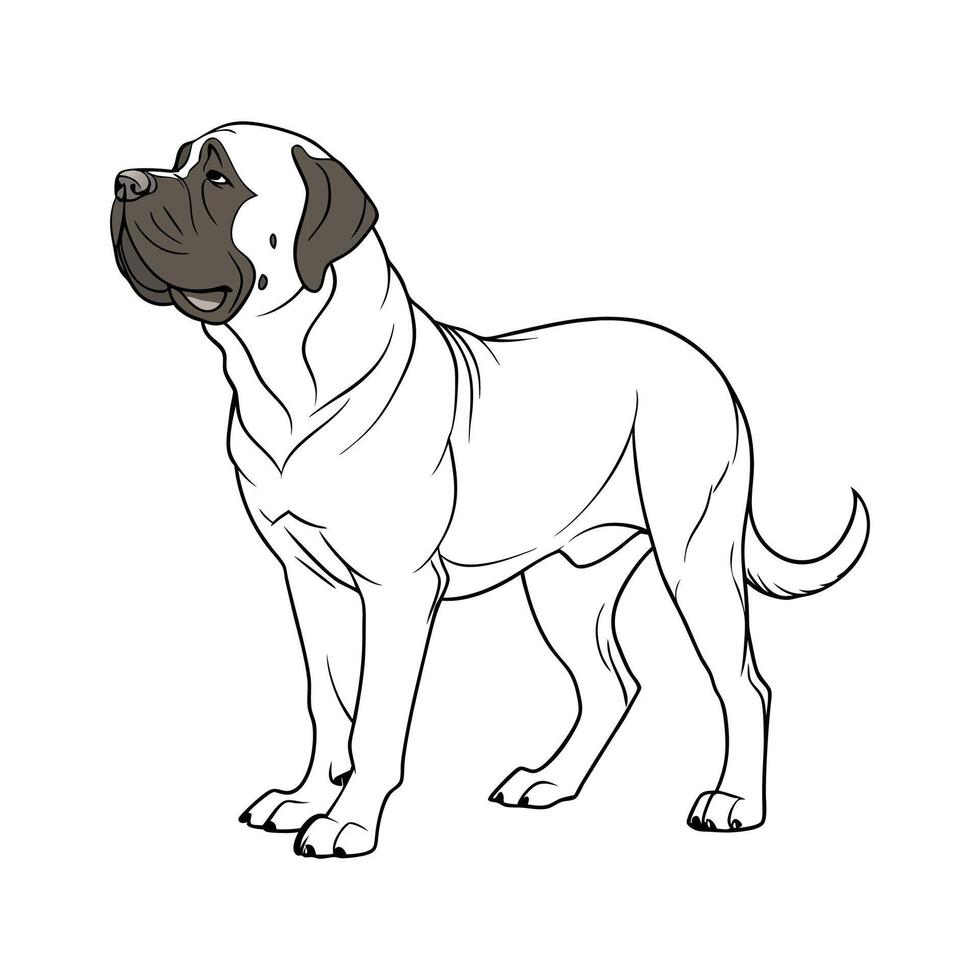 Imposing English Mastiff on a White Background vector