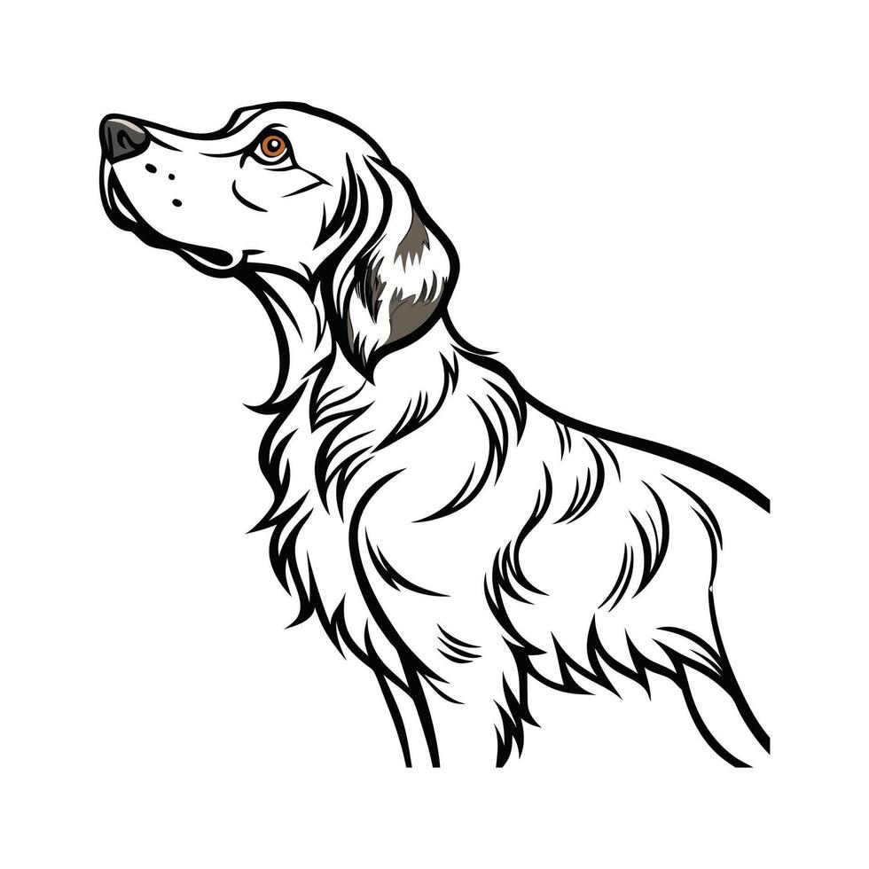Charming English Setter on White Background vector