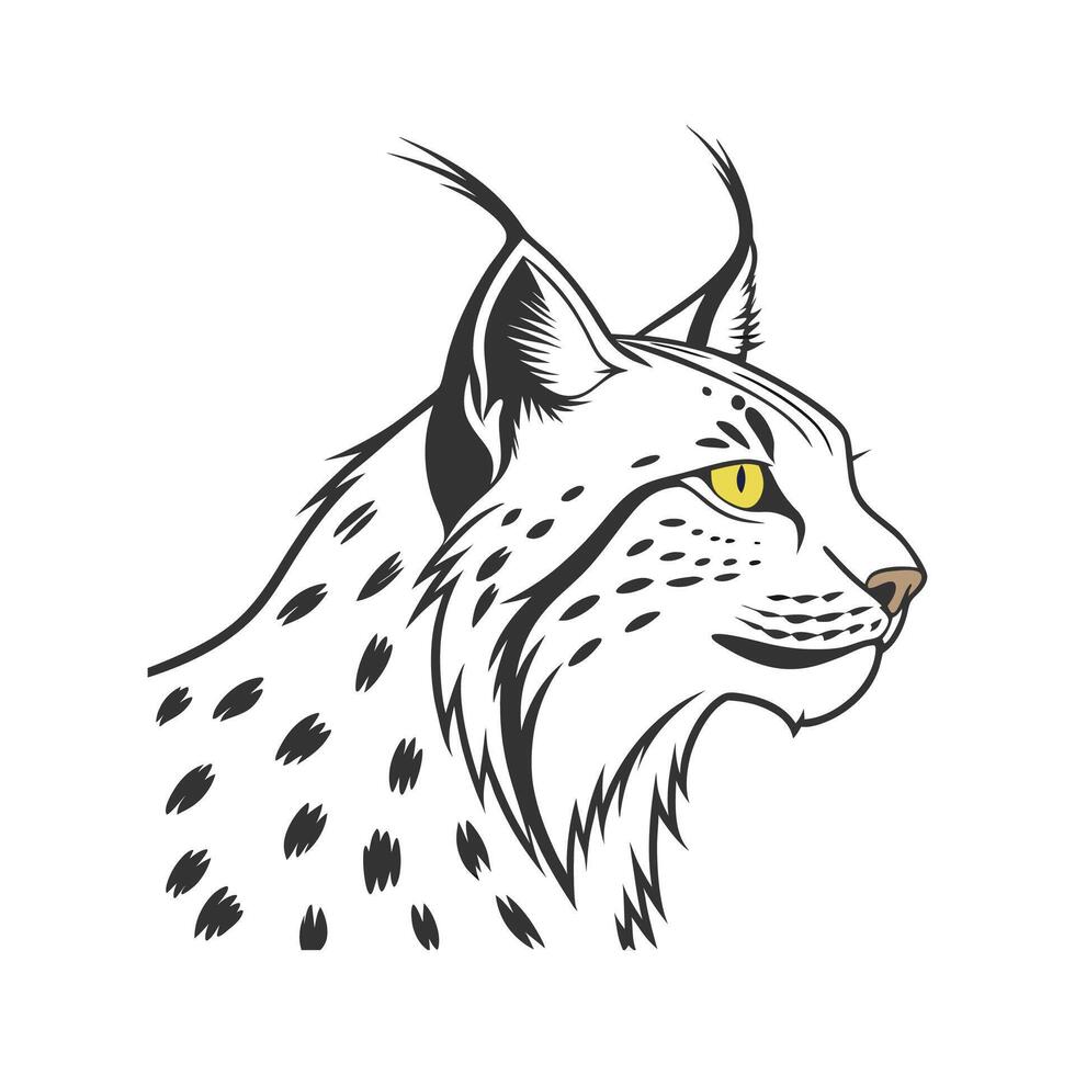 Elegant Eurasian Lynx on a White Background vector