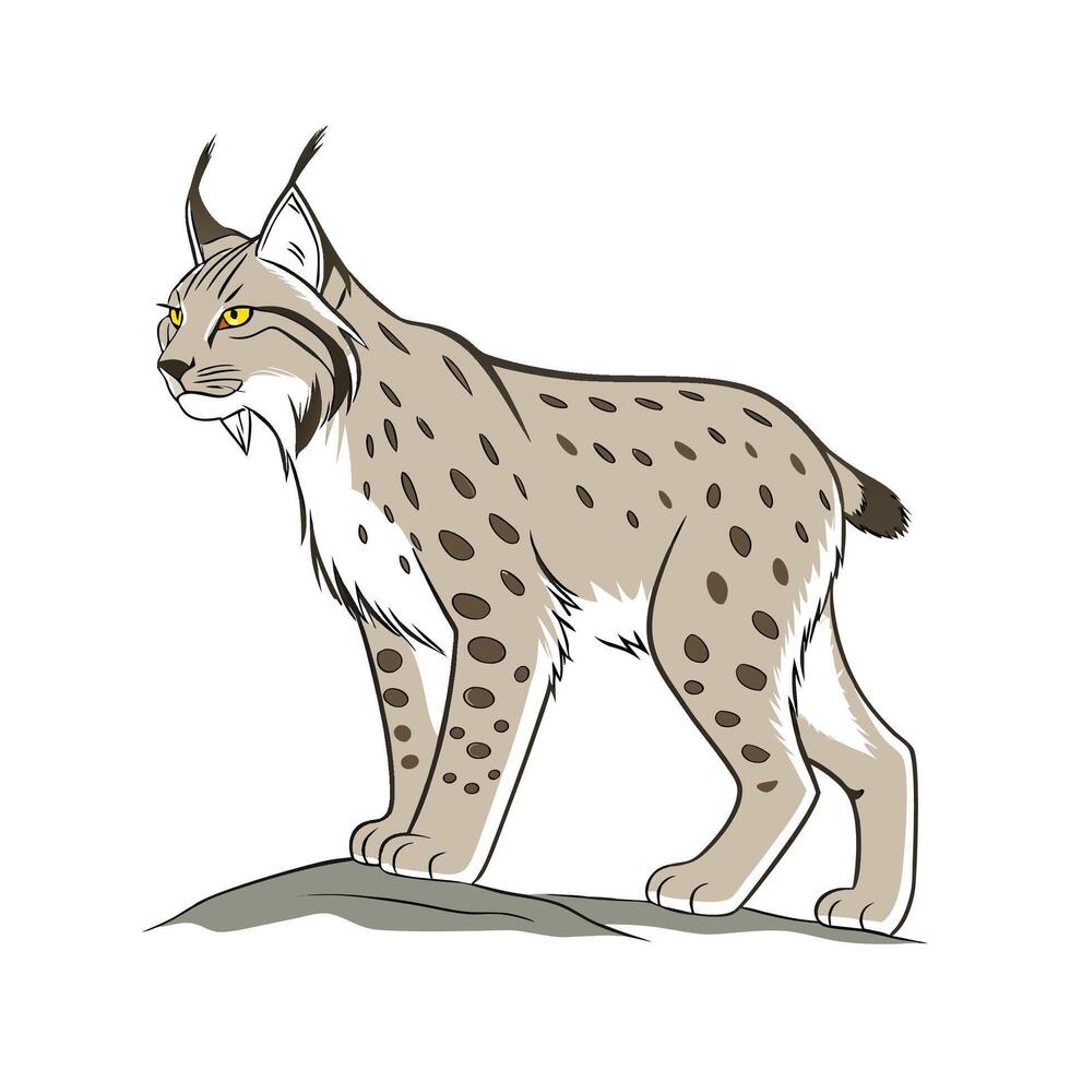 Majestic Eurasian Lynx Posed on Clean Canvas vector