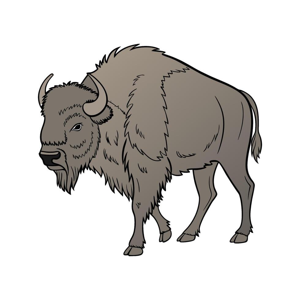 Majestic European Bison on White Background vector