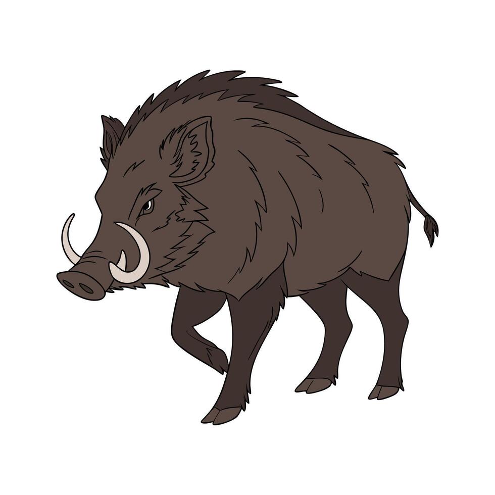 Dynamic European Boar on White Background vector