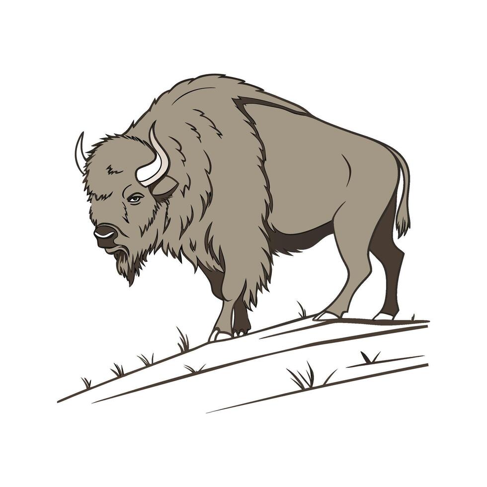 Powerful European Bison on Clean Canvas vector