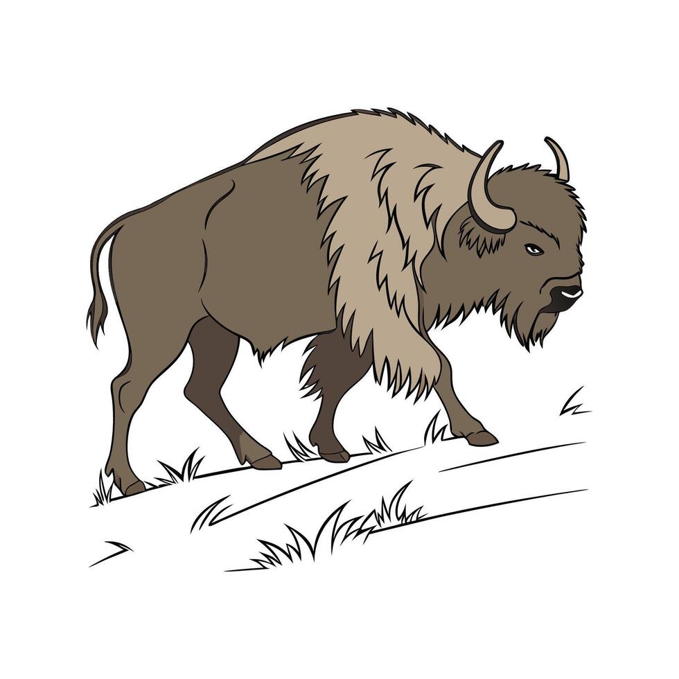 Imposing European Bison on White Surface vector
