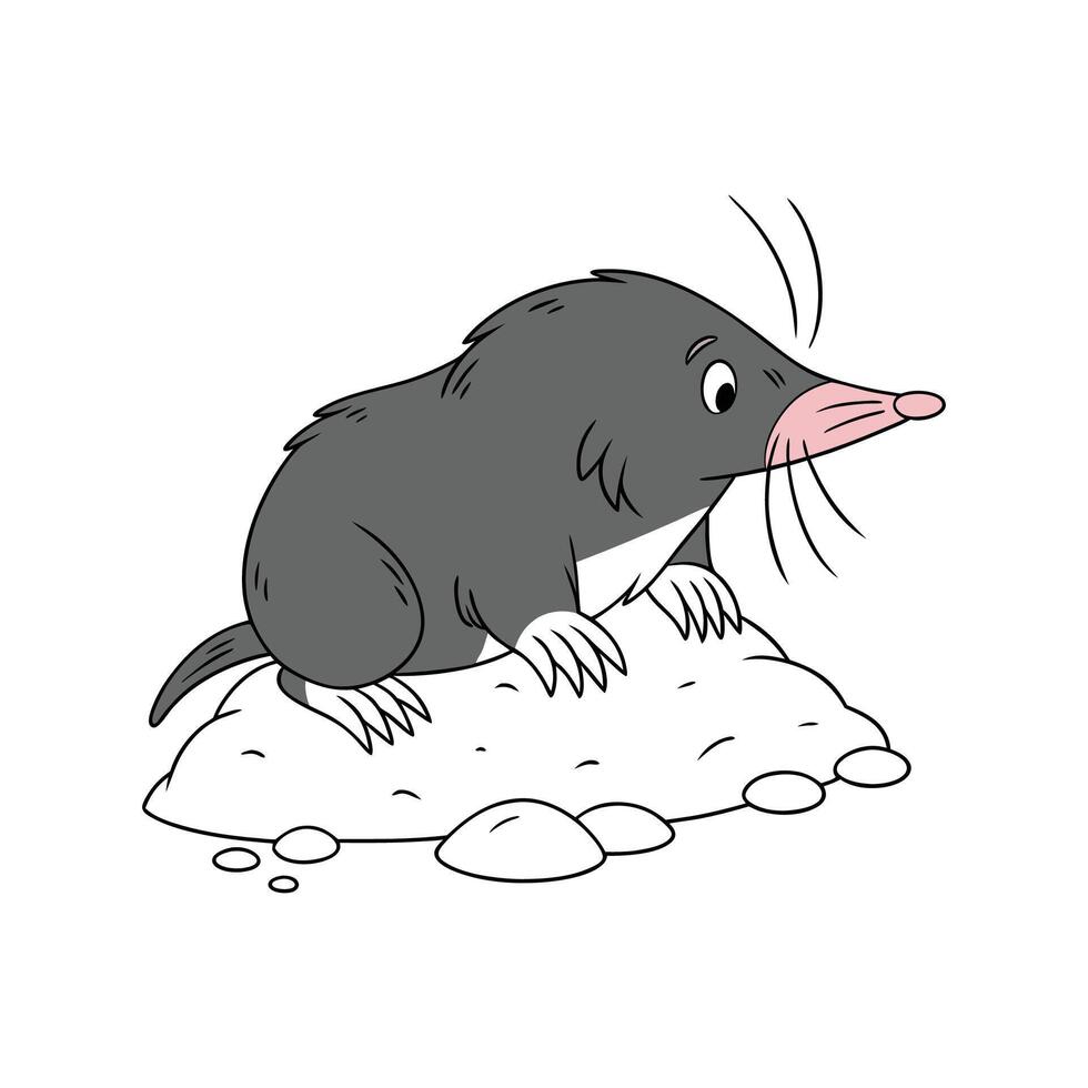 Intriguing European Mole on White Background vector