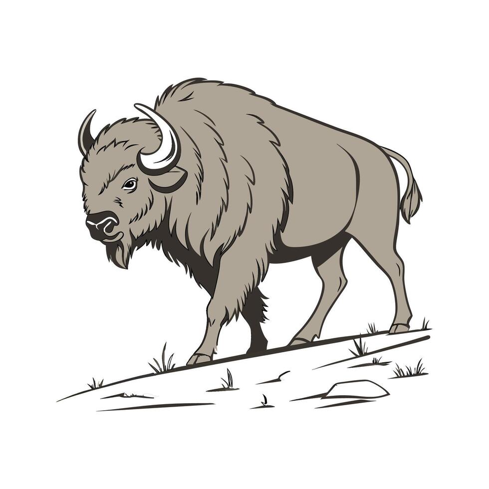 European Bison Posed Elegantly on White Background vector