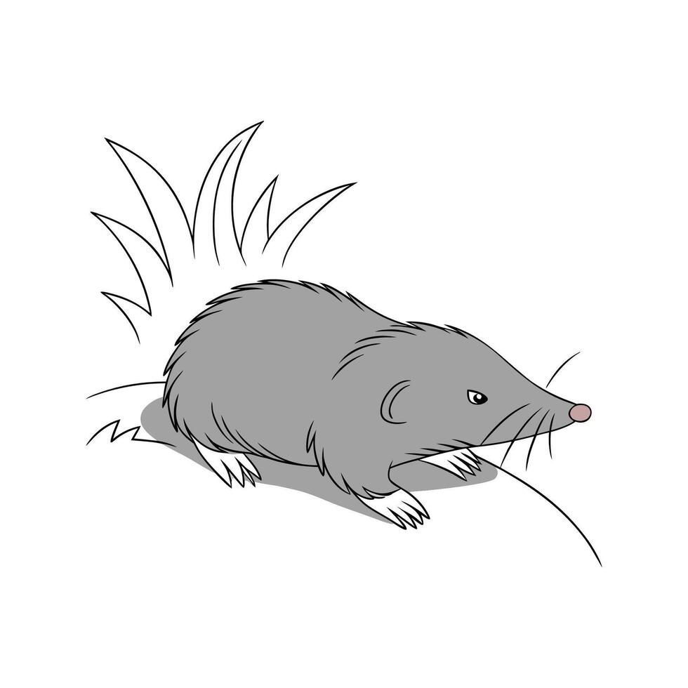 Charming European Mole on Clean Surface vector