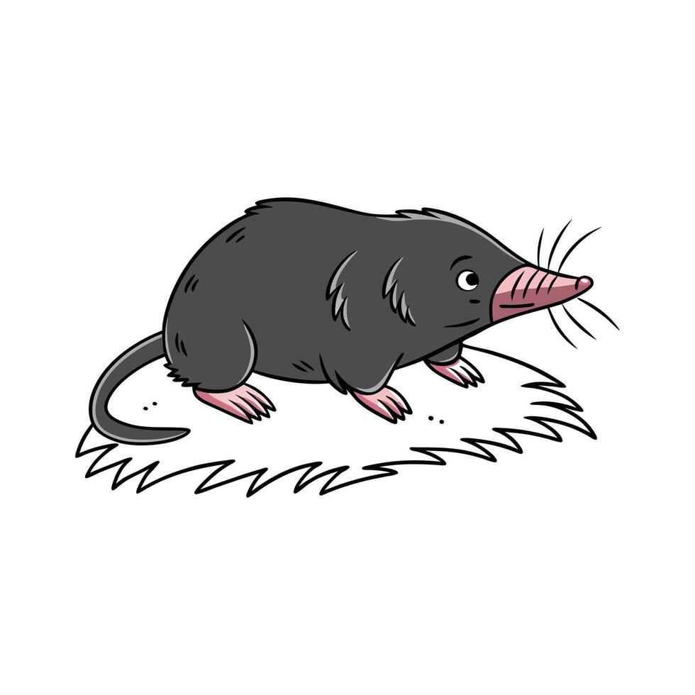 Cute European Mole on a White Background vector