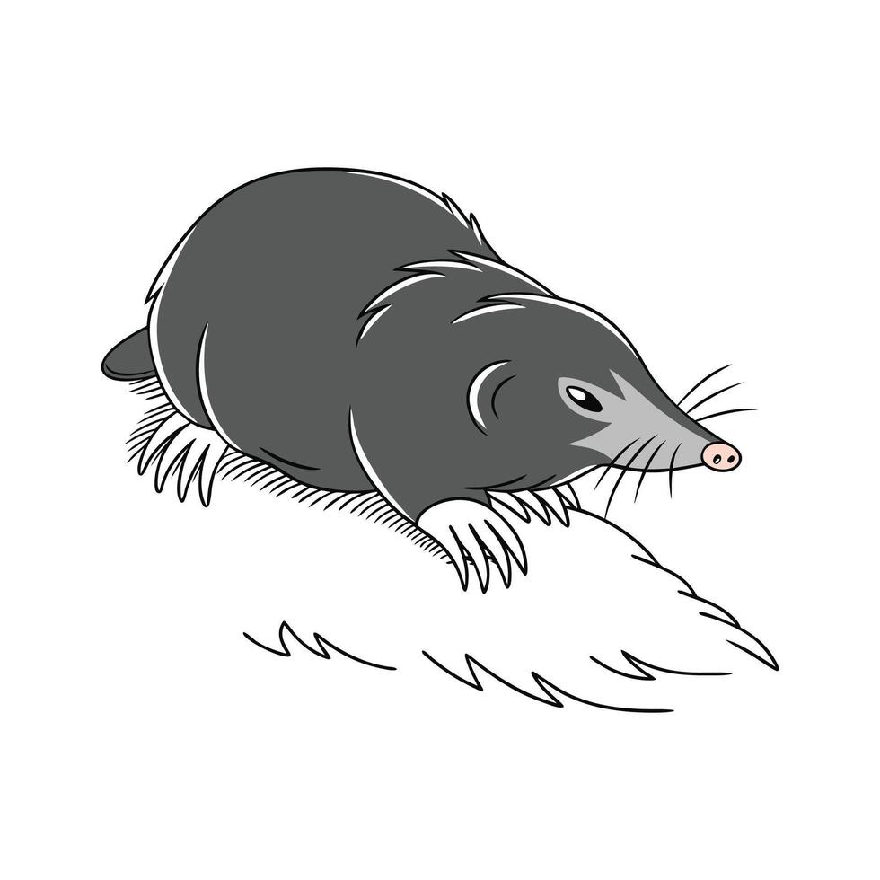 European Mole on White Surface vector