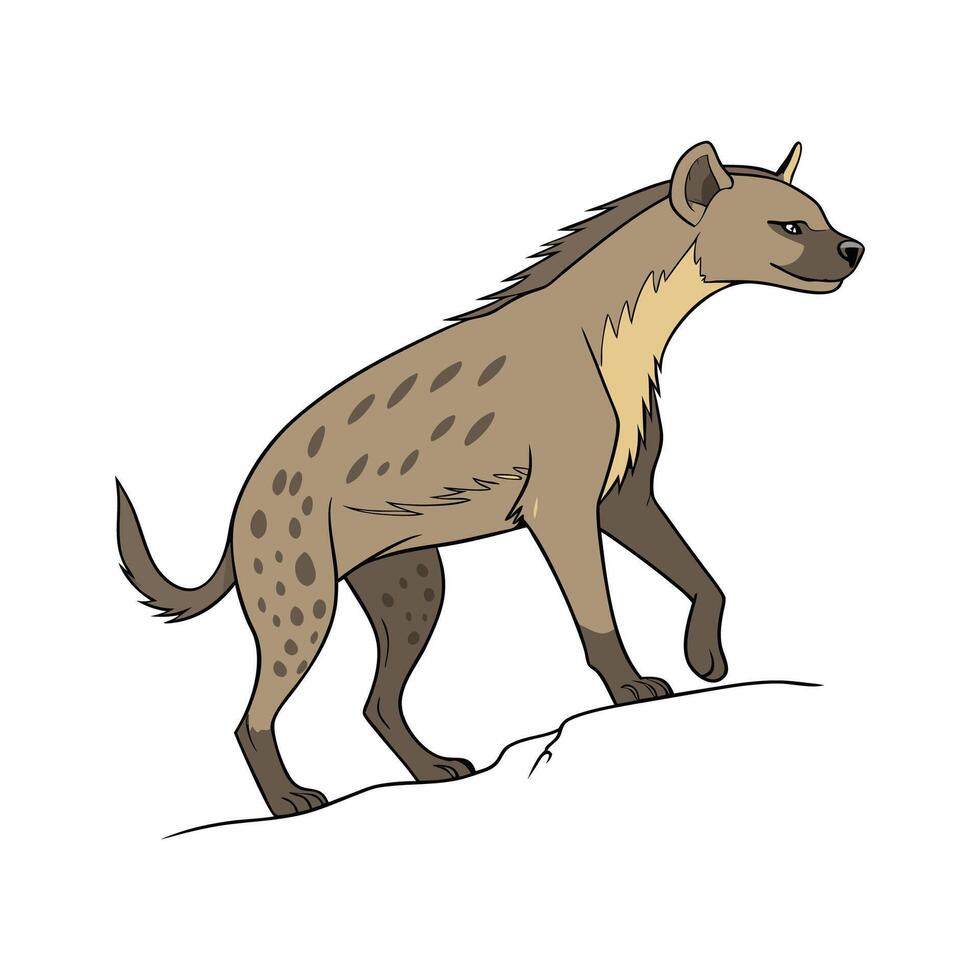 Fossa on White Surface Showcasing Their Beauty vector