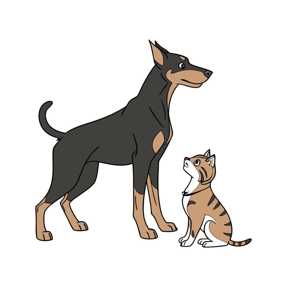 Charming German Pinscher with Manx Cat on White Background vector
