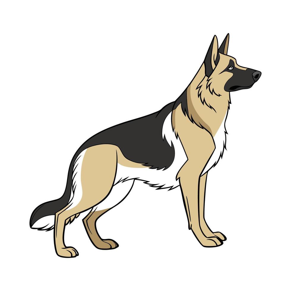 Majestic German Shepherd Positioned on Clean Background vector