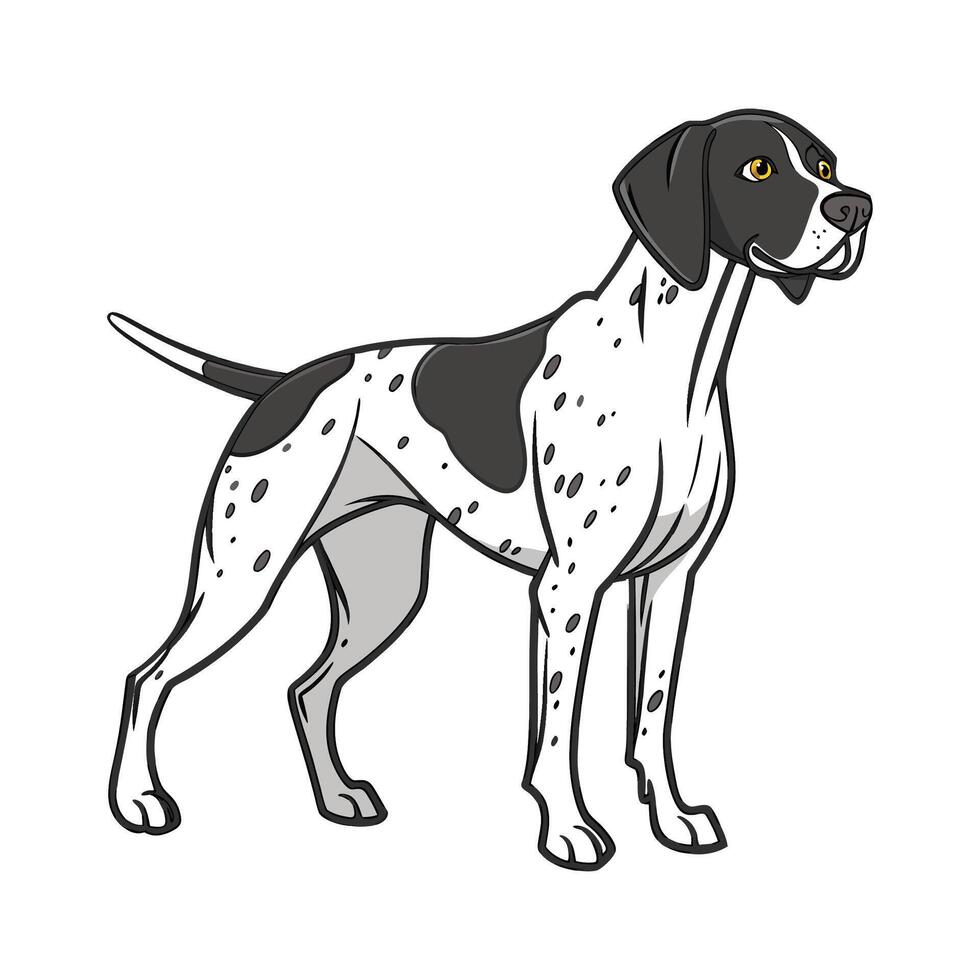 Dynamic German Shorthaired Pointer on Clean Background vector