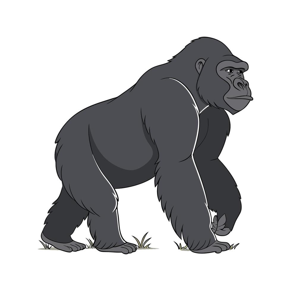 Majestic Gorilla Posed Against Clean Background vector